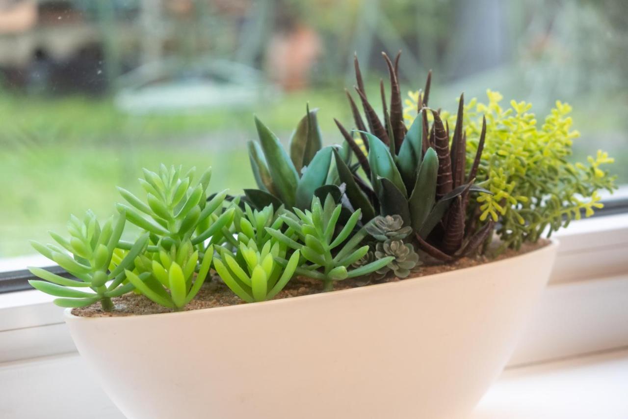 Wohnen Im Eulengarten Oranienburg Ngoại thất bức ảnh